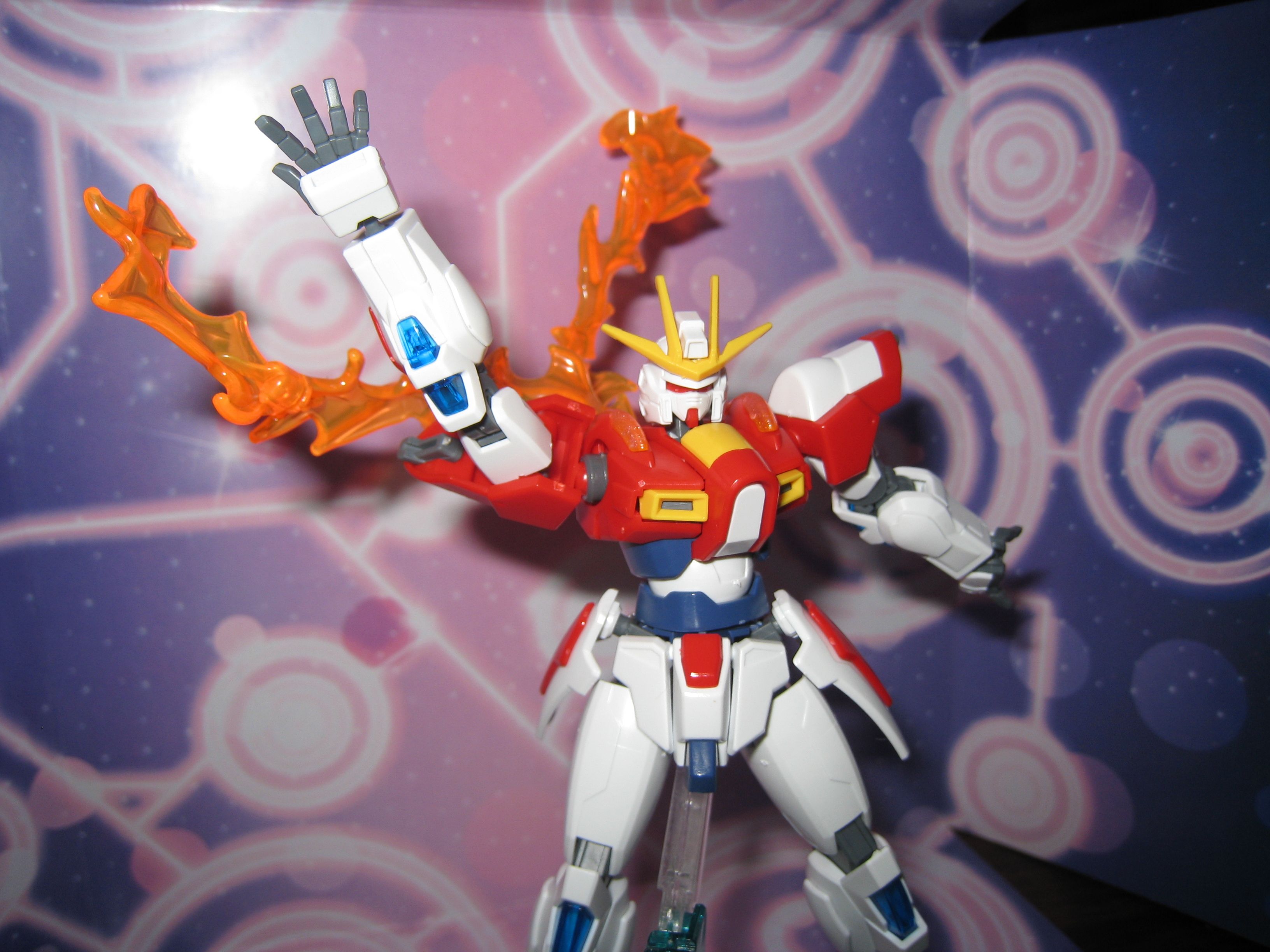 燃燒鋼彈 (9).JPG