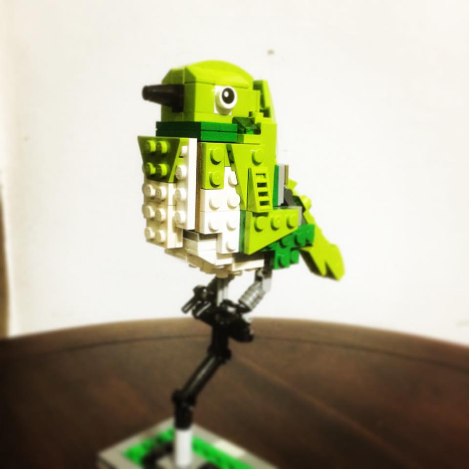 lego台灣特有種野鳥