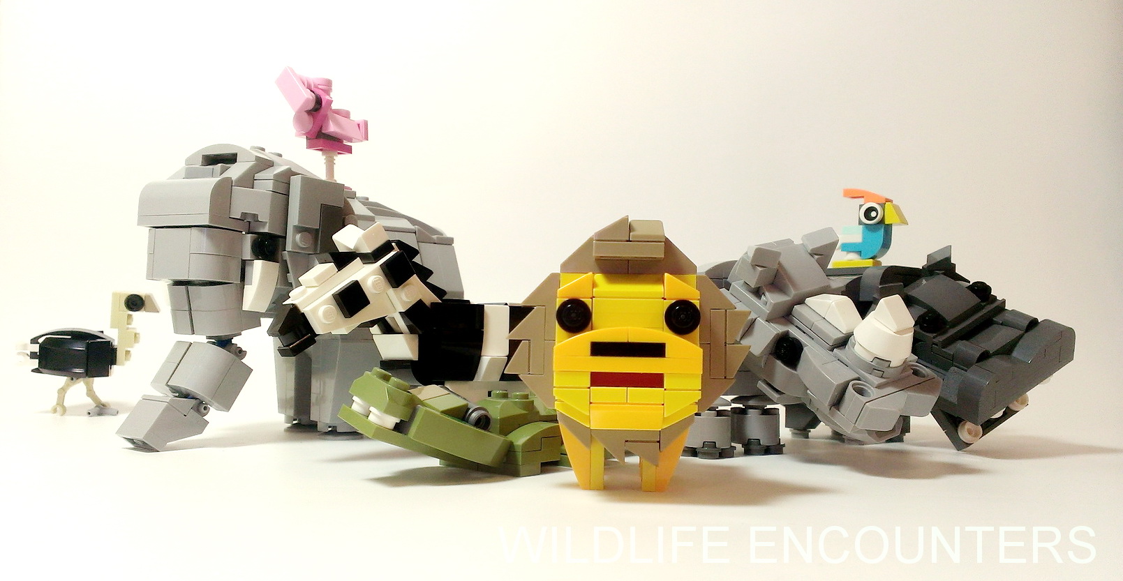 [查米]非洲x大團圓 Wildlife Encounters