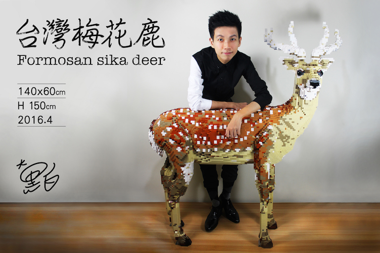 【大黑白】台灣梅花鹿