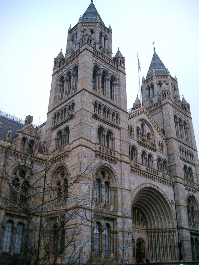 樹影夢(8)-神殿-把漸進和弧形進行到底